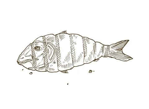 Bbq dish sketch Stock Illustration