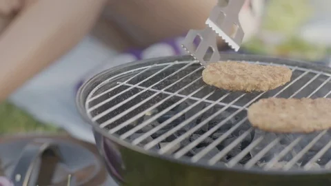 BBQ On A Field Stock Footage 82380415