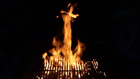 BBQ Fire at night Video stock 5295744