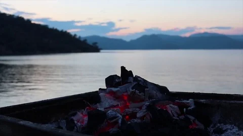 BBQ fire on the sea Stockbeeldmateriaal 82954198