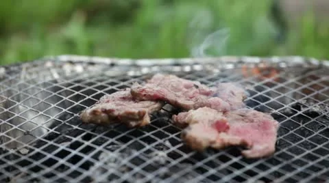 BBQ Stock Footage 11346513