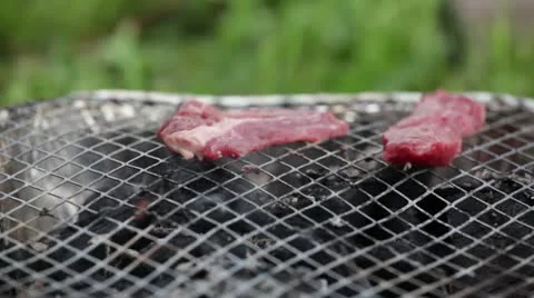 BBQ Stock Footage 11346516