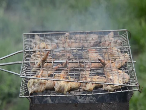 BBQ Stock Footage 74589600