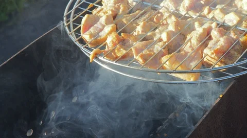 BBQ Stock Footage 96305660