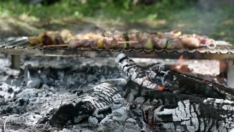 Bbq Stock Footage 197363577