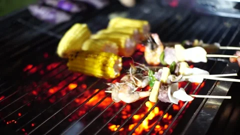 Bbq Stock Footage 208355899