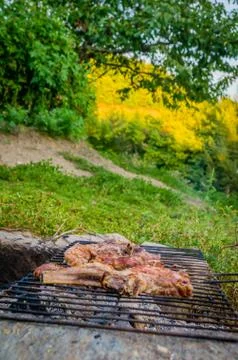 BBQ in the forest Foto stock