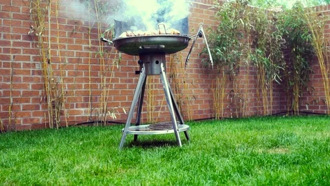 BBQ in the garden Stock Footage 90252321