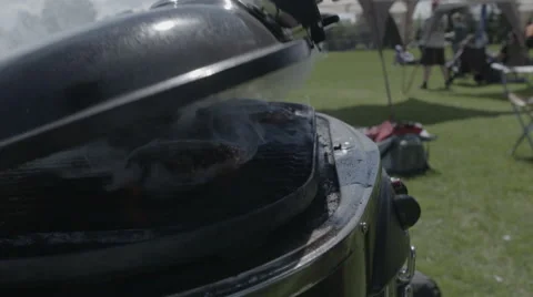 BBQ Grill Stock Footage 50518495