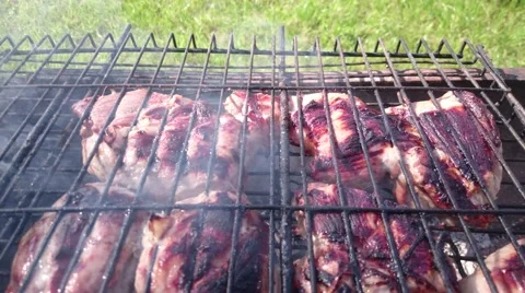 BBQ grill Stock Footage 56021529
