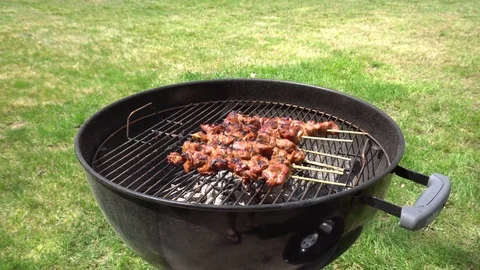 BBQ on the grill. Stock Footage 74766228