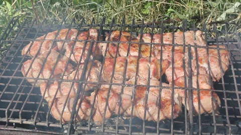 BBQ grill Stock Footage 136569139