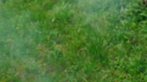 BBQ grill of meat 4K Stock Footage 49920688