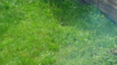 BBQ grill of meat 4K Stock Footage 49920832