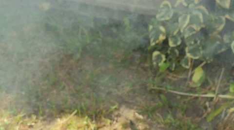 BBQ grill of meat 4K Stock Footage 50823100