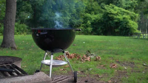 BBQ grill in the park Stock Footage 158183698