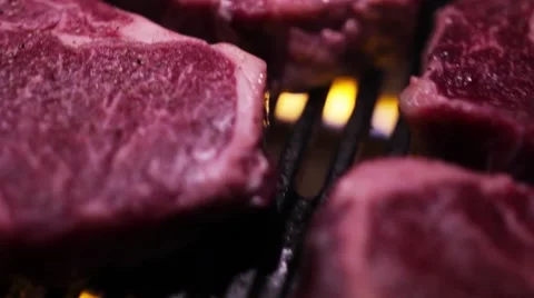 BBQ Grill T-Bone Steak Stock Footage 49332833