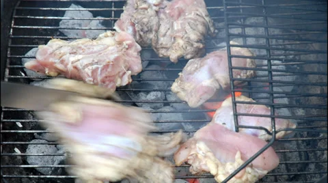 BBQ grill. Time lapse video Stock Footage 31471330