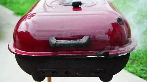 BBQ grilling. Stock-Footage 54311928
