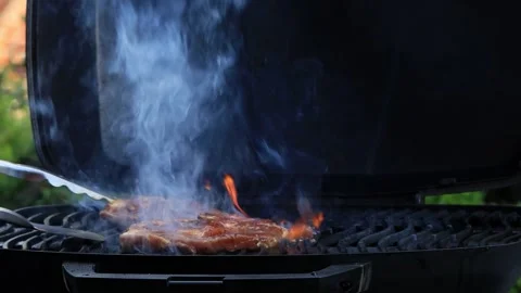 BBQ at home, close up Video stock 247439893