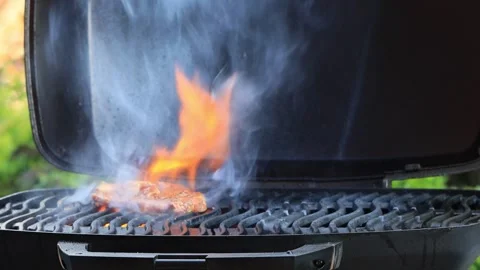 BBQ at home, close up Video stock 247439938