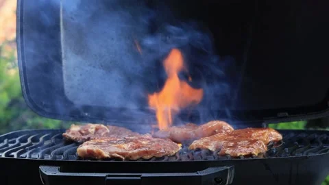 BBQ at home, close up Stock Footage 247487736