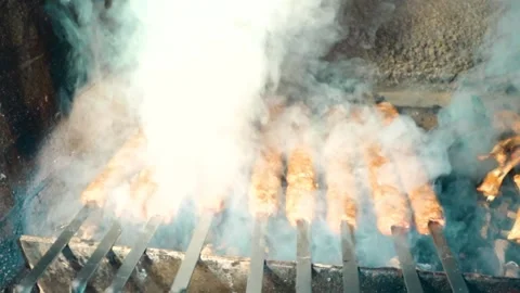 BBQ Lule kebab Stock Footage 200924382