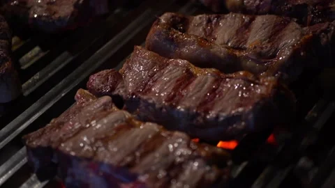 BBQ Meat Preparing on Grill Stock Footage 221508068