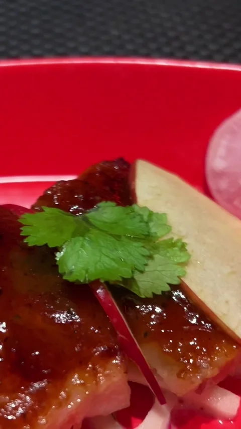 Bbq meat slices with apple cilantro and radish on a red plate Stock Footage 293311942