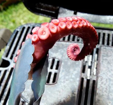 BBQ Octopus for the Grill. Stock Photos