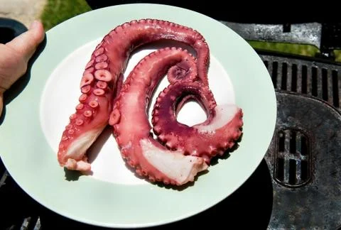 BBQ Octopus on a Platter. Stock Photos