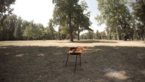BBQ in the park with bad ball droping into fire Stock Footage 94122321