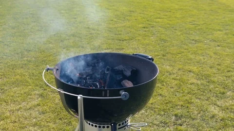 BBQ for a picnic. Grilling at summer weekend. Stock Footage 74766193