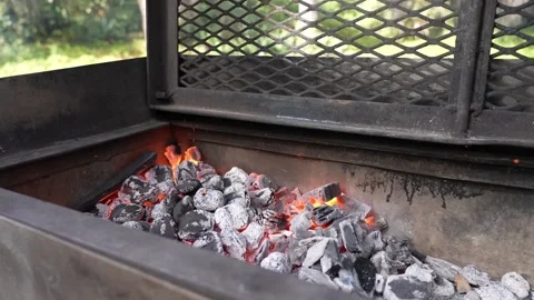 BBQ Ready 2 動画素材 168780386