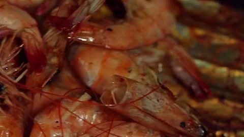 BBQ shrimp macro Stock Footage 71212732