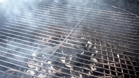 BBQ Smoking Charcoals Stockbeeldmateriaal 79657967