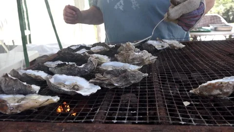 BBQ'd oysters being prepared Stock Footage 115663198