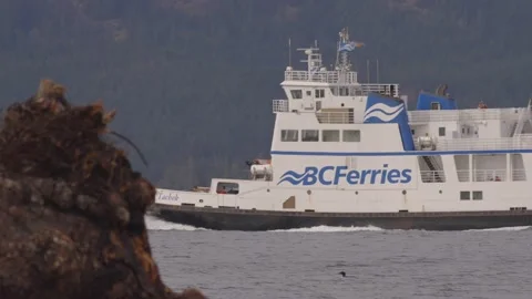 BC Ferry Stock Footage 171989037