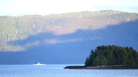BC Ferry sails past Stock Footage 10743645