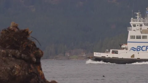 BC Ferry slow motion Stock Footage 171989530