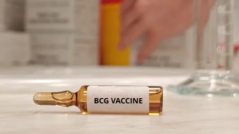 BCG VACCINE for active immunization against tuberculosis including severe Stock Footage 342076109