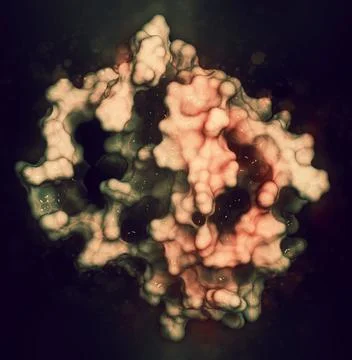 BCL-2 protein, 3D rendering. Prevents apoptosis (cell death) and Stock Illustration