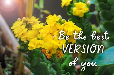 Be the best version of you text with bright light shining to the yellow flowe Stock Illustration