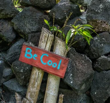 Be Cool Foto stock