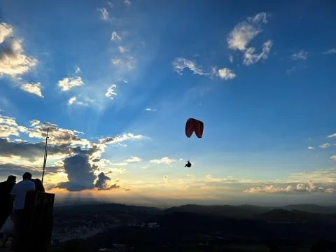 Be free!!! Fly!!! Stock Photos