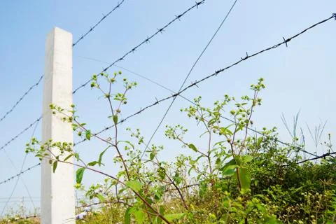 Be isolated Stockfoto's