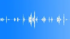 To be or not to beSound Effect