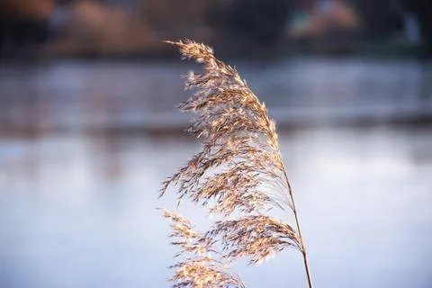 Be peaceful Foto stock