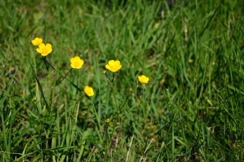 Be a team Stock Photos