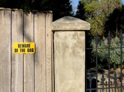 Be very careful of the dog Foto stock